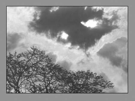 096 Sign Of Hope 